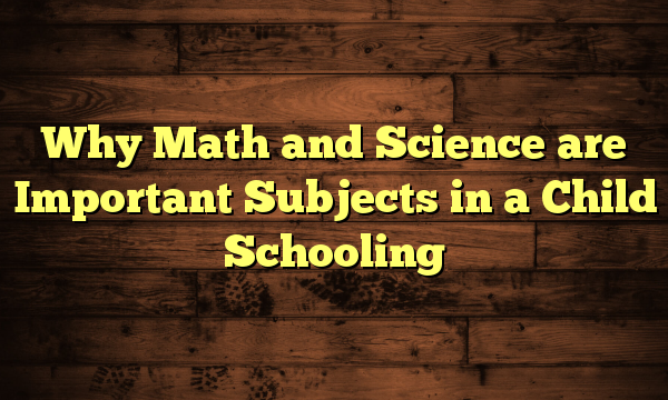 Why Math and Science are Important Subjects in a Child Schooling