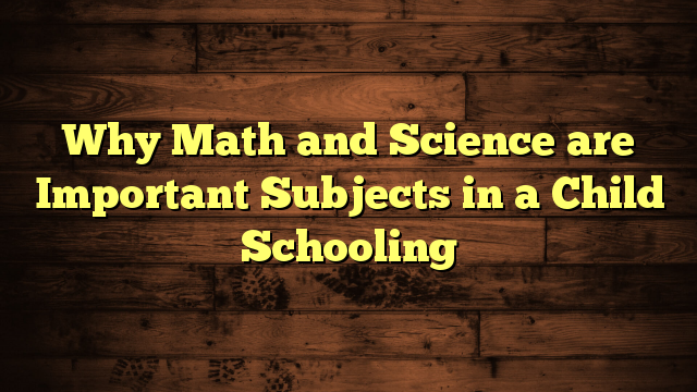 Why Math and Science are Important Subjects in a Child Schooling