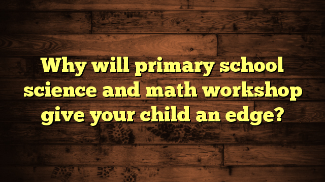 Why will primary school science and math workshop give your child an edge?